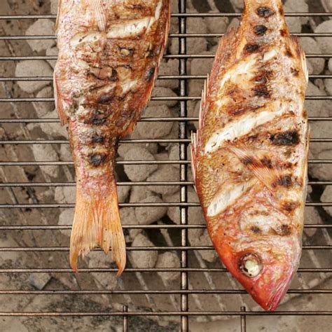 grilling whole red snapper on gas grill